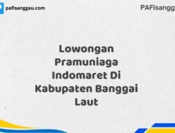 Lowongan Pramuniaga Indomaret Di Kabupaten Banggai Laut Tahun 2025 (Jangan Menunggu, Daftar Segera)