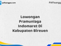 Lowongan Pramuniaga Indomaret Di Kabupaten Bireuen Tahun 2025 (Tunggu Apa Lagi? Daftar Sekarang!)