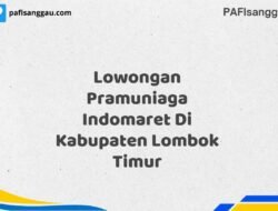 Lowongan Pramuniaga Indomaret Di Kabupaten Lombok Timur Maret Tahun 2025 (Lamar Sekarang)