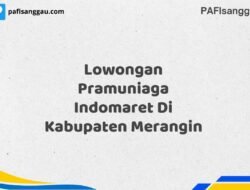 Lowongan Pramuniaga Indomaret Di Kabupaten Merangin Tahun 2025 (Yang Wajib Anda Ketahui)