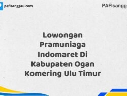 Lowongan Pramuniaga Indomaret Di Kabupaten Ogan Komering Ulu Timur Tahun 2025 (Ayo Bergabung, Daftar Sekarang)