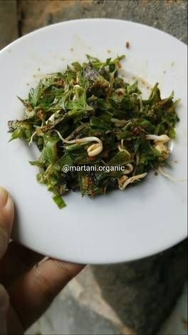 Resep Anti Kanker Payudara Menu Lezat Sehat untuk Kesembuhan