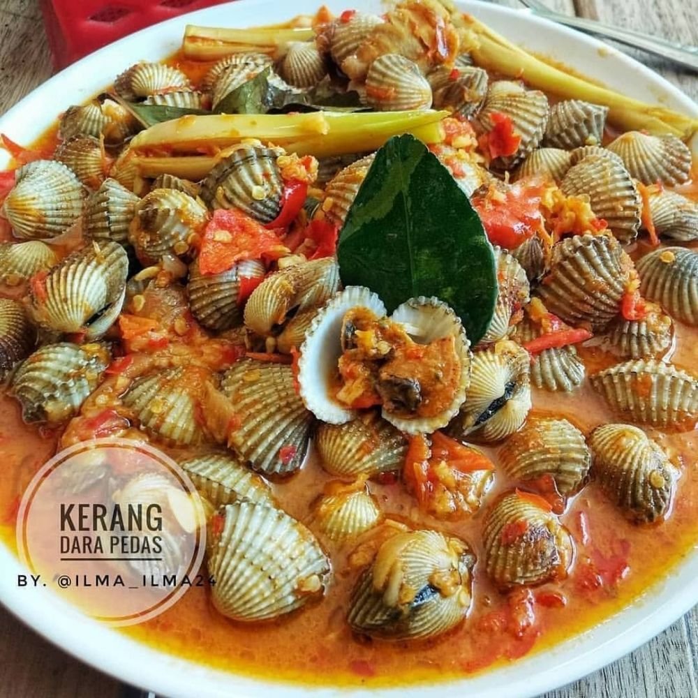 Resep Kerang Dara Saus Padang Anti Gagal Lezatnya Bikin Nagih!