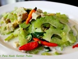 Resep Masakan Santan Pedas Bikin Nagih Dijamin Habis!