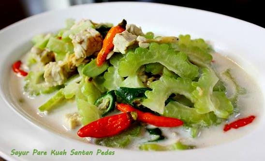 resep masakan santan pedas